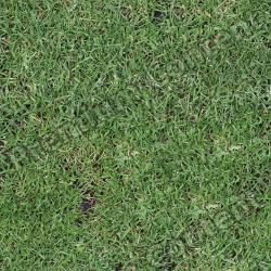 Seamless Grass